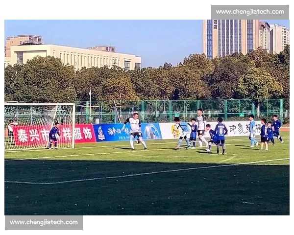 足球直播实时解说精彩赛事全程跟踪球迷互动尽在掌握畅享绿茵激情对决